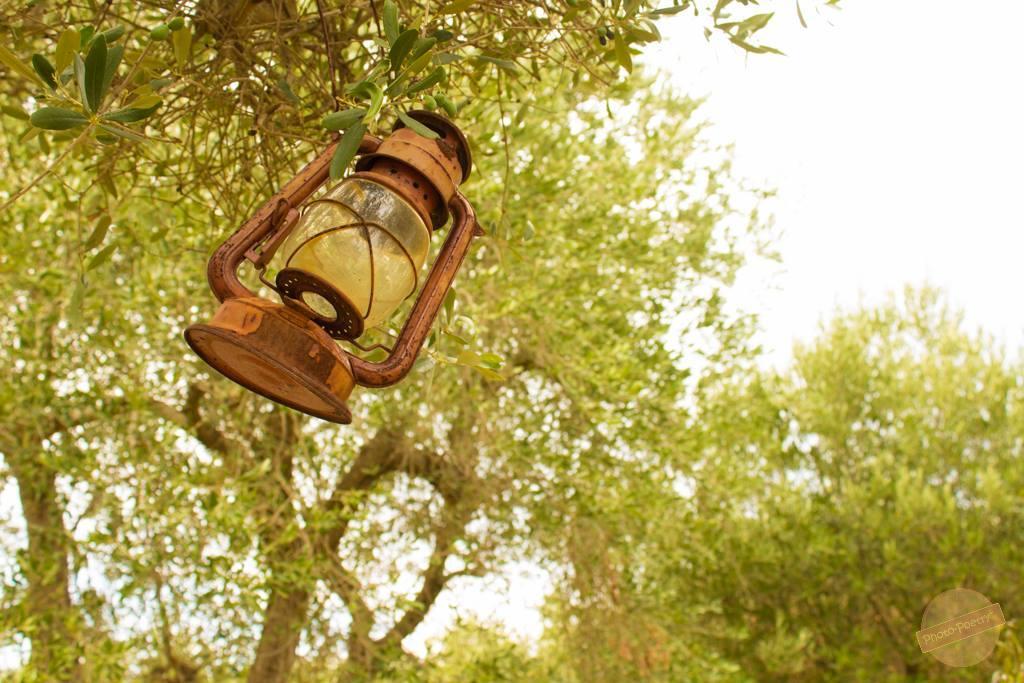 Borgo Degli Artisti Villa Ostuni Ngoại thất bức ảnh